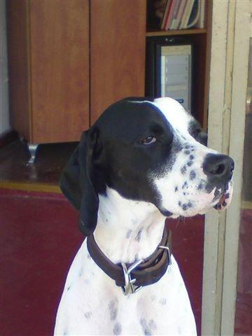 Jenny (Izrael)- 2009.december