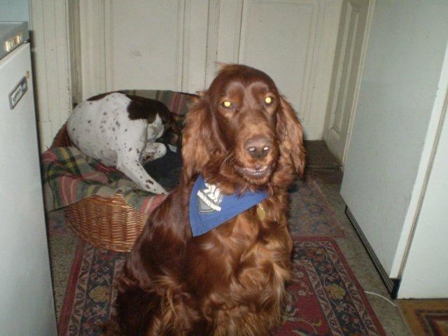 2010.01.16.Kelly,nálunk,születésnapi kendőjében