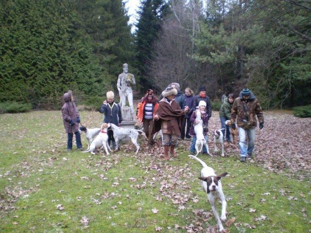 A Magyar Pointer Klub jubileumi találkozója - 2009.12.13.- Budakeszi Vadaspark (Szétszéledve - elöl:Ammily)