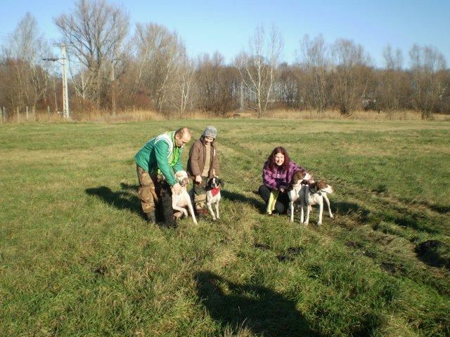 2009.12.26. Lébény-Séta Ironékkal - Iron, Ada a mentett pointer,Ammily és Viki