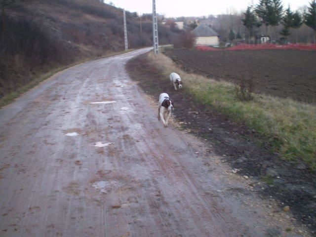 2009.12.31-2010.01.03. Jásd - Alkonyodik - Sétából hazafelé:Ammily,Viki