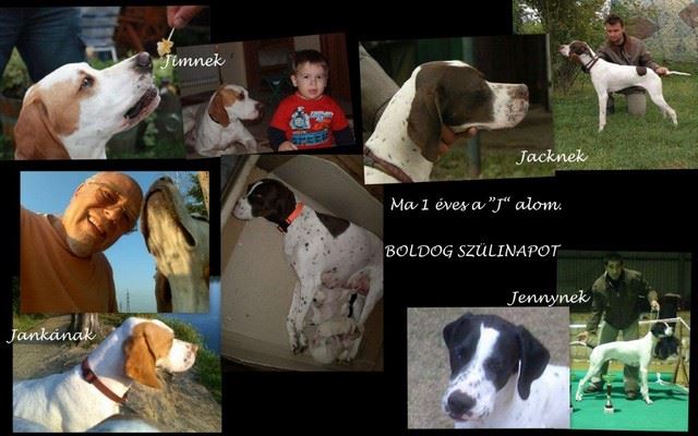 1 éves a J alom - Boldog szülinapot nekik!