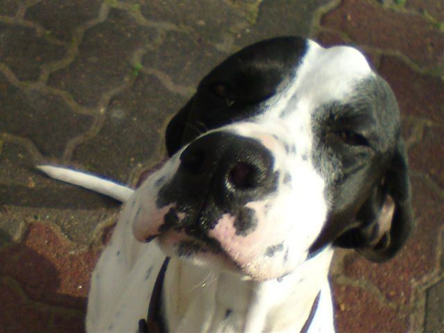 Jenny  - Izrael - 2010.tavasz