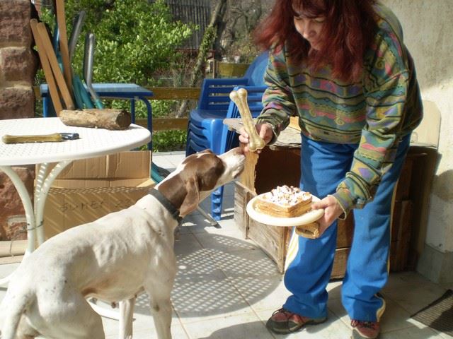 2010.03.26. Viki 7 éves szülinapja