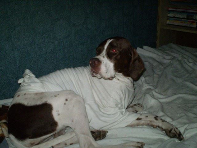 2010.04.28. Ammily beteg