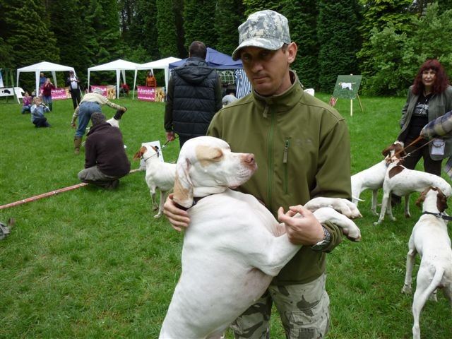2010.05.15.Pointer Klubkiállítás,Budakeszi - Iron a gazdival