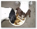 jenny_jackie_mar_csak_ketten_vannak_9_hetesek.jpg
