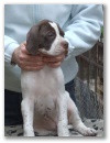 jack_ul_8_hetesen.jpg