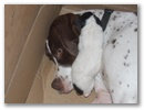 dscf7270.jpg