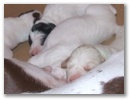 dscf7318.jpg